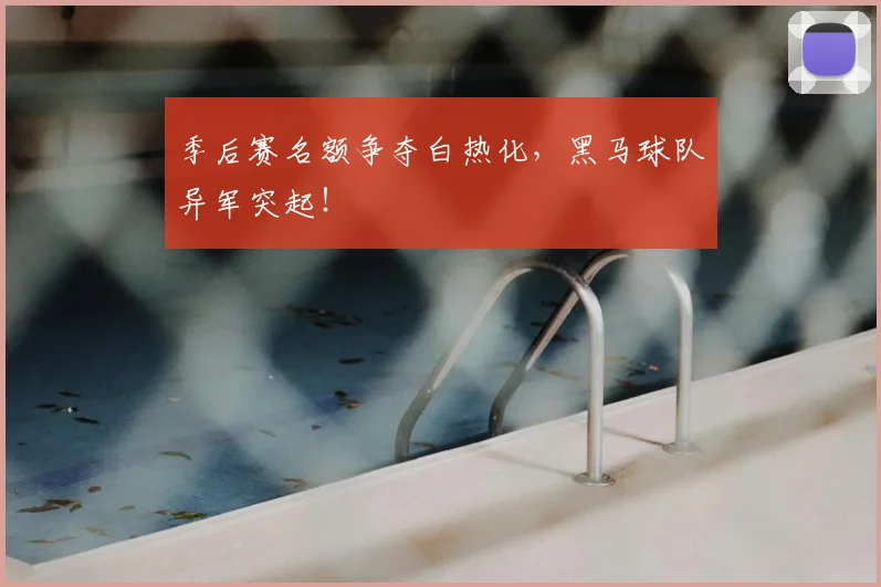 季后赛名额争夺白热化，黑马球队异军突起！
