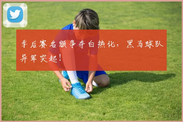 季后赛名额争夺白热化，黑马球队异军突起！