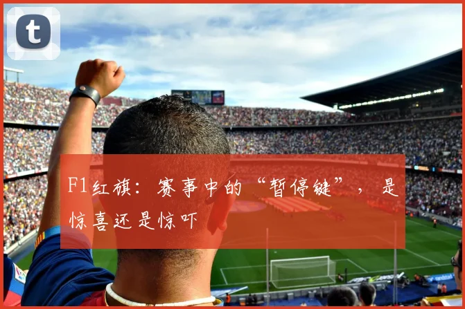 F1红旗：赛事中的“暂停键”，是惊喜还是惊吓