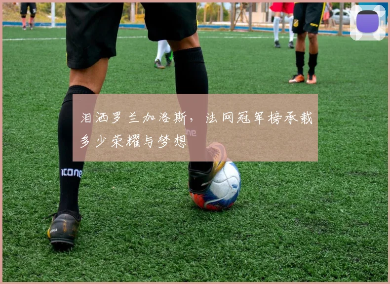 泪洒罗兰加洛斯,法网冠军榜承载多少荣耀与梦想