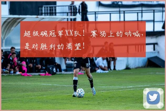 超级碗冠军XX队！赛场上的呐喊，是对胜利的渴望！